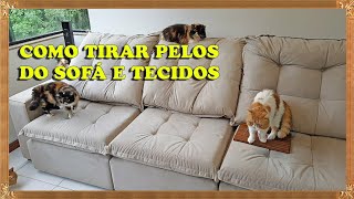 Como tirar PELOS de animais do sofá e tecidos - Gatil Hauser