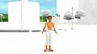 Virtual World Tour 2008