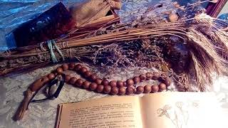 Вяз гладкий, описание и лечебное применение по материалам книги Попова А.П.