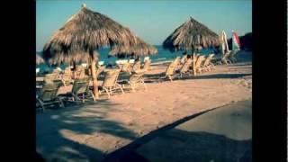 Lychee (Musicvideo) Ambient / Techno