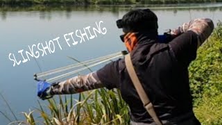 SLINGSHOT FISHING.ОХОТА НА САЗАНА С РОГАТКОЙ