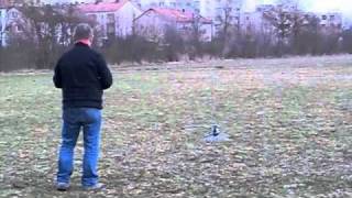 T Rex 450 Sport Erster Flug