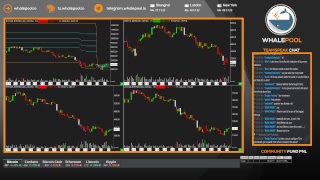 Whalepool Live Bitcoin / Cryptocurrency Trading Stream 24/7/365