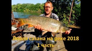 ловля сазана на реке 2018 1 часть