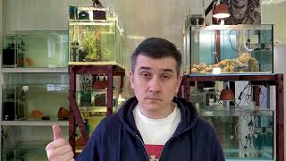 Аулофорус .... Перезагрузка!!! Повторение - МАТЬ учения