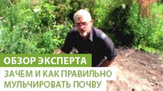 Зачем и как правильно мульчировать почву. Виды мульчи