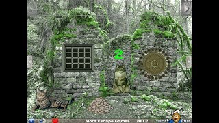 Wildcat Forest Escape Walkthrough [Games2Rule]