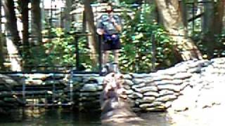 Watch Park Ranger Feeding Melons to Lu the Hippo at the Homosassa Springs Wildlife State Park