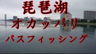 バス釣り！琵琶湖オカッパリ釣行！