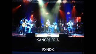 SANGRE FRIA - PXNDX -LETRA