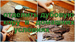 Как отделить дубовую кору от древесины в домашних условиях