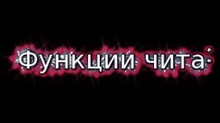 функции чита flux b12