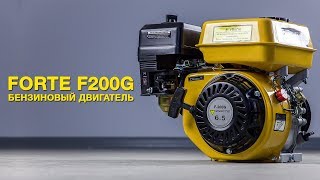 Обзор бензинового двигателя FORTE F200G