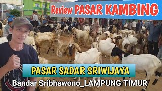 Pasar Kambing SadarSriwijaya,Bandar Sribhawono,Lampung Timur