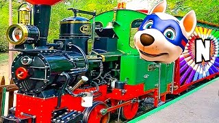 ЩЕНЯЧИЙ ПАТРУЛЬ ЕДЕТ НА ПАРОВОЗЕ в ПАРК  Щенячий Патруль PAW Patrol Игрушки ЩЕНЯЧИЙ ПАТРУЛЬ и НАСТЯ