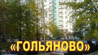 ГОЛЬЯНОВО, ЗИМА, 1996 год.