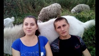 Как сэкономить на питании. Экономное питание в деревне.