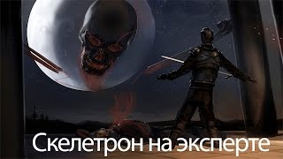 БОССЫ В TERRARIA 1.3 Coop#4 Скелетрон!