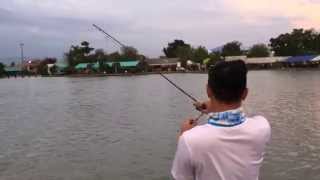 Major Craft Nextino 662UL & 2010 Shimano Stella C2000HGS