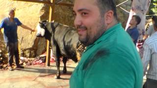 kasap levent kurban kesımı 2016 part6