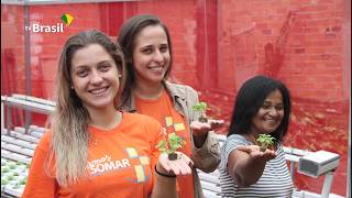 Agro Nacional mostra fazendas urbanas e a produção do trigo