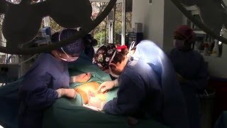 Ocean Clinic LABIAPLASTY / LABIOPLASTIA Marbella
