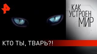 Кто ты, тварь?! "Как устроен мир" с Тимофеем Баженовым (14.10.19).