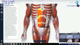 의료상식 : 인체의 비밀 - 3D 분석