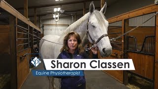 Get Equine Athletes Back to Competition with Laser Therapy | Sharon Classen, Equine Physiotherapist