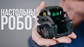 Самый классный настольный робот. ?/ Обзор Vector от Anki.