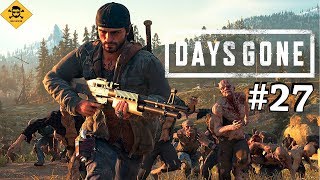 ОПАСНАЯ ОРДА ФРИКОВ ★ ПРОХОЖДЕНИЕ DAYS GONE ★ часть 27