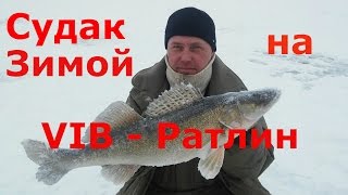 Зимние вибы и ратлины на судака