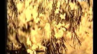 KUNWARI - KEHTA HAI MERA DIL KI SANAM TUM BHI KAHOGE