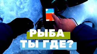 Рыбалка. Навага. Поиск рыбы эхолотом.