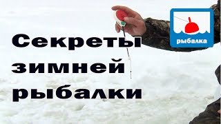 Секреты зимней рыбалки на мотыля  + отчёт о рыбалке
