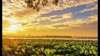 Promotional Film for 2022 Hangzhou Asian Games