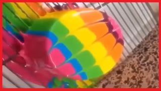 Расслабляющее красивое видео для глаз. Визуальный релакс