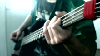 Nirvana -Rape me bass cover