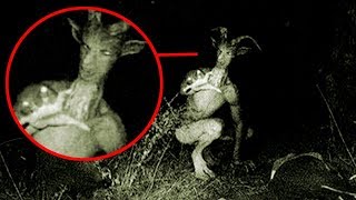 10 ПАРАНОРМАЛЬНЫХ ЯВЛЕНИЙ СНЯТЫХ НА КАМЕРУ
