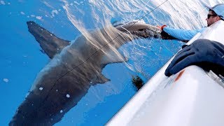 NFL Shark Fishing Battle - Wide Receiver vs Defensive End
