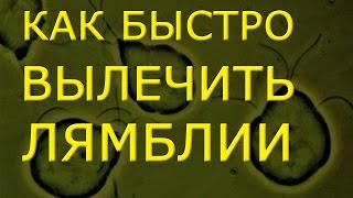 Как быстро вылечить лямблии в домашних условиях. Лечение лямблиоза и описторхоза с Биомедис М