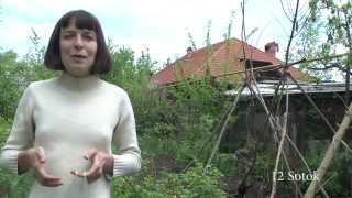 Гигантская фасоль