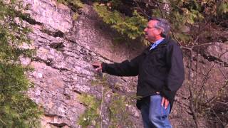 Northern Door County's Niagara Escarpment