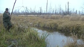 Рыбалка на паук. Подъёмник в мини речке. Ловим Лучшую Наживку для Налима!