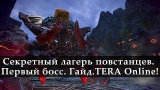 Секретный Лагерь Повстанцев. Гайд. Первый босс. TERA Online