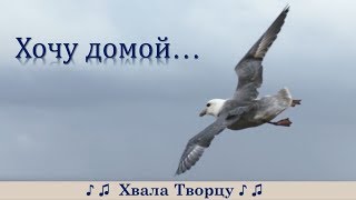 Очень Сильная и Проникновенная Песня  -ХОЧУ ДОМОЙ!!!