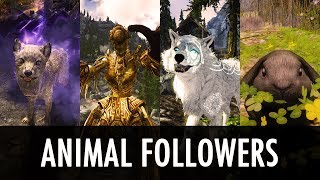 Skyrim Mod: Animal Followers Multi-Spotlight