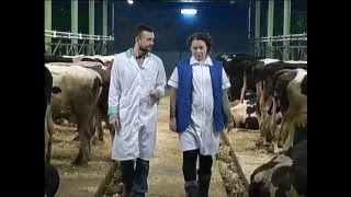 Спецпроект: «Чего хотят женщины?»