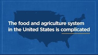 Why A National Food Strategy?