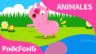 ¿Tú Has Visto Mi Colita? | Animales | PINKFONG Canciones Infantiles